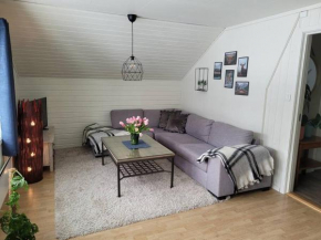 Large, cozy, family-friendly BUA Apartment